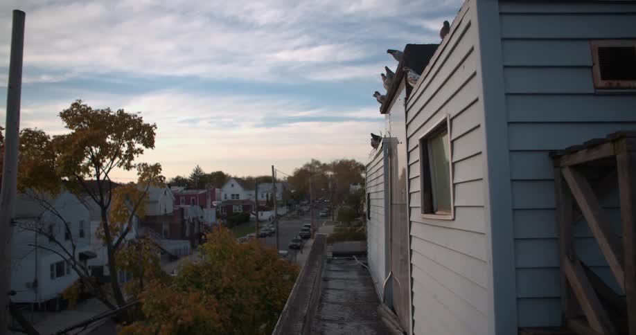 View of a quiet neighborhood at sunset