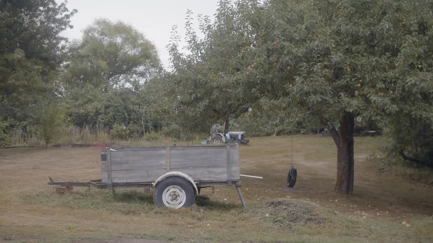 Man And Woman Picking Blueberries