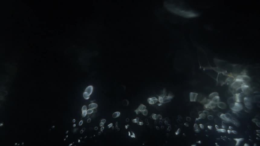 Sparkling lights into water droplets