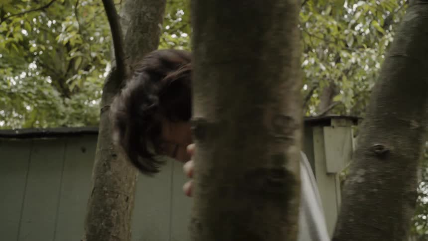 Child climbs tree in forest