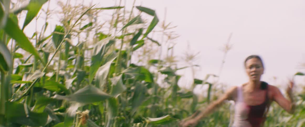 Woman with bloodied tank top runs scared through a cornfield at day time