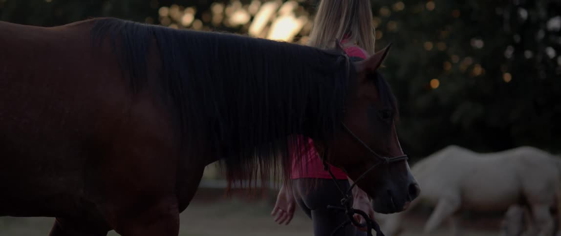 A woman walks with a horse on a ranch at sunset