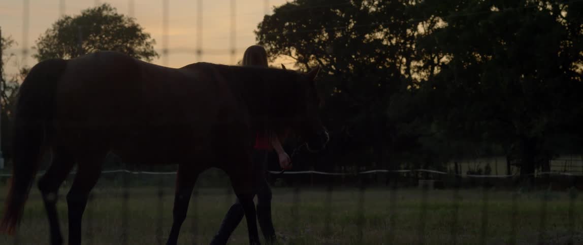 Woman Spending Time With Horses