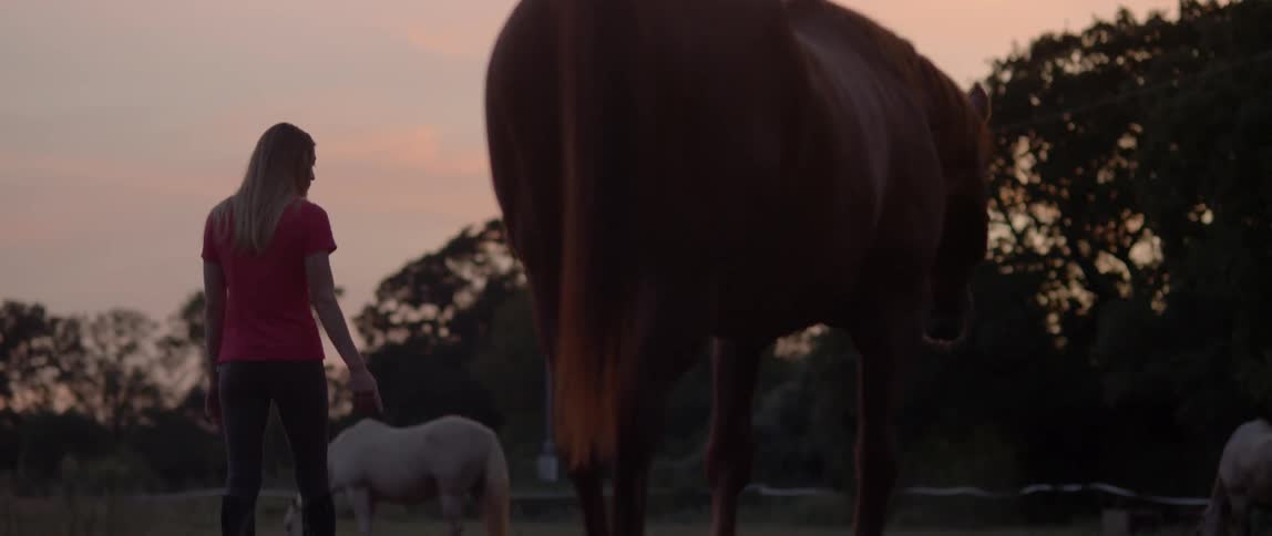 A young woman walking in a field with horses