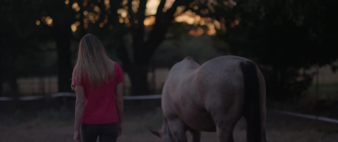 A woman walks towards a grazing horse and pets it