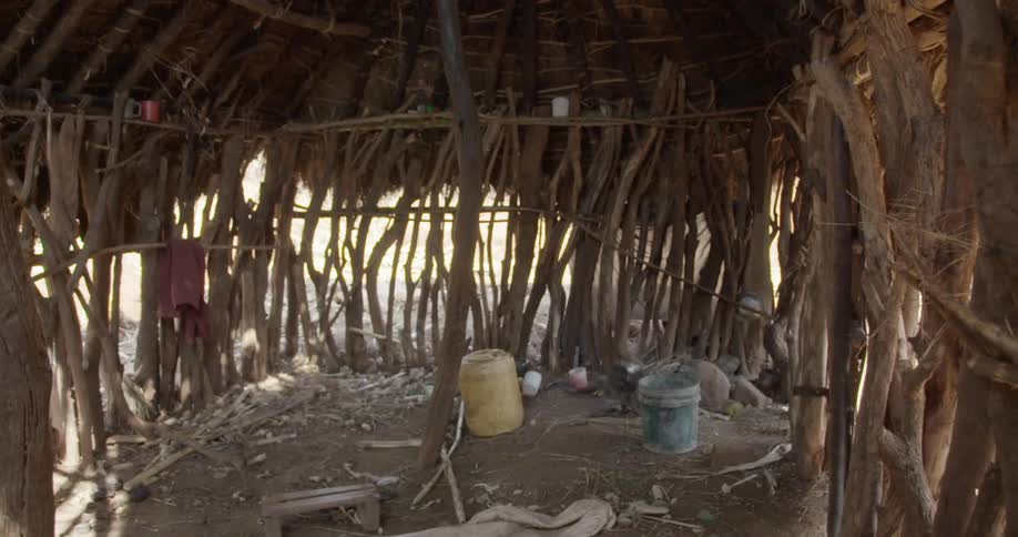 A wooden settlement