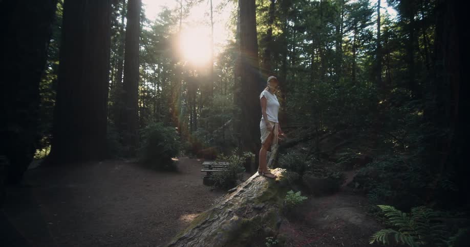 A woman stands on a rock in a forest