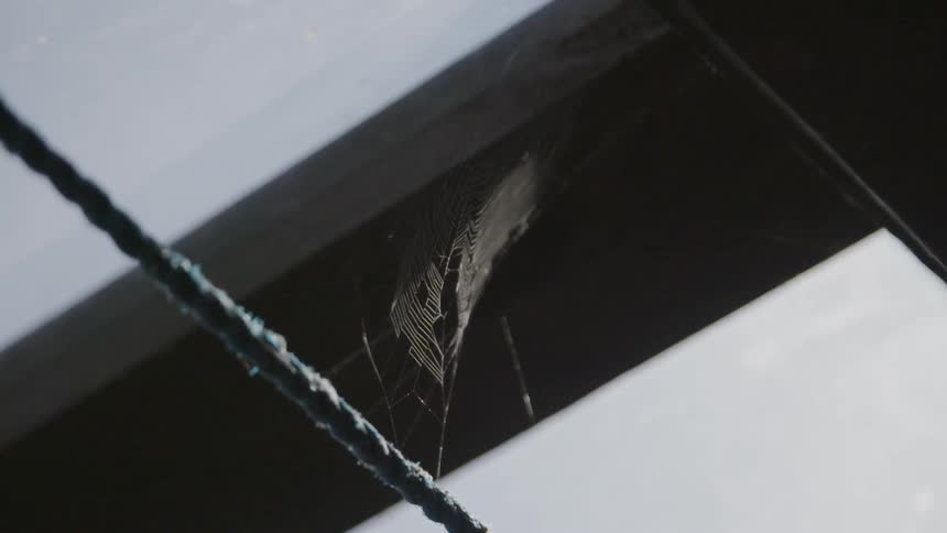 A spiderweb in a corner
