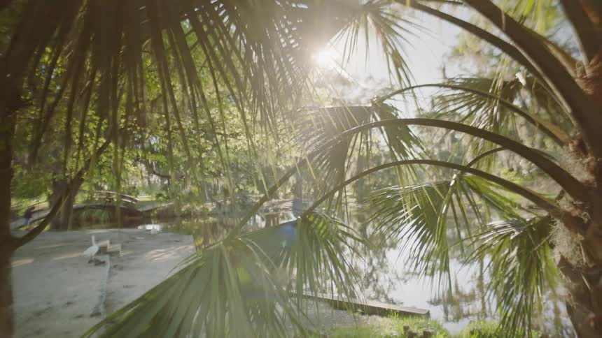 Light shines bright in a beach area