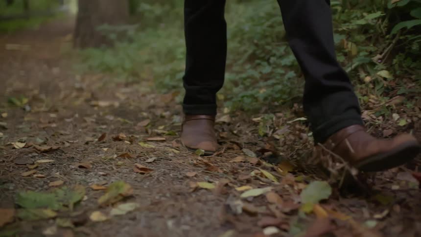 Someone walking down a leafy path