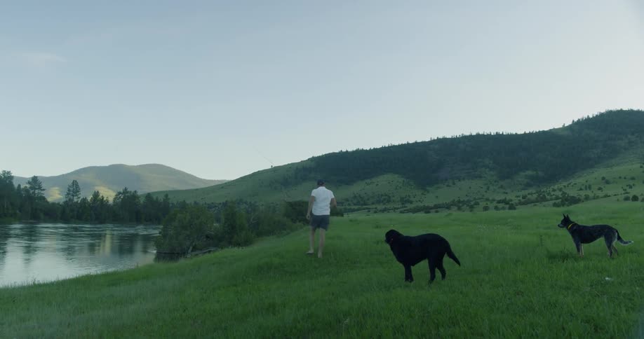 A man walks with his two dogs by the river