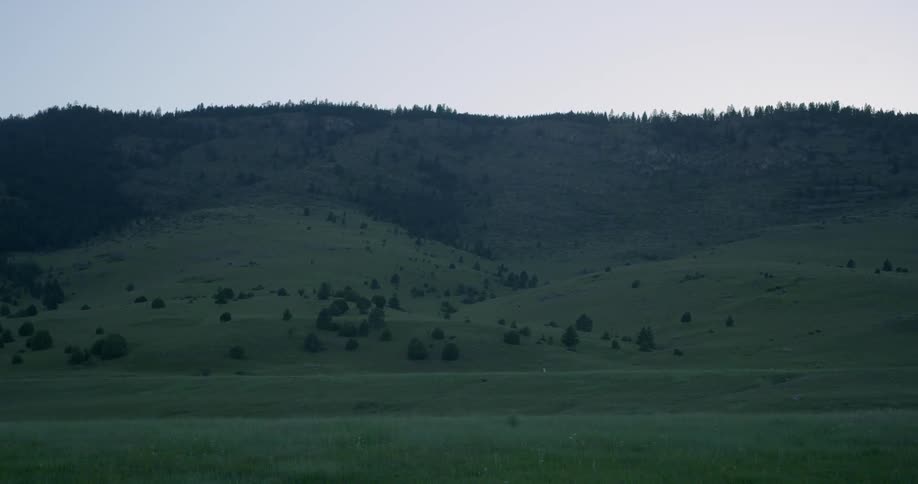 Trees dot grassy hills