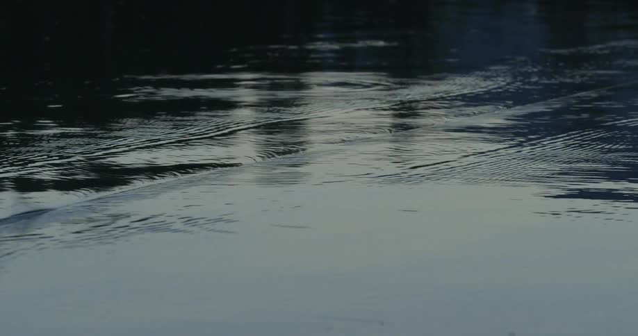 A lightweight lure from a fishing rod is cast into the calm water