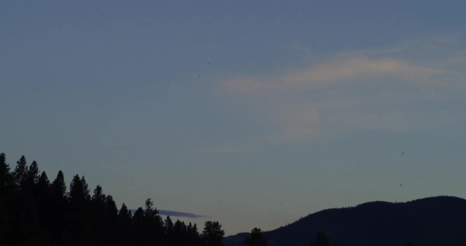 A forest of trees and hills during sunset