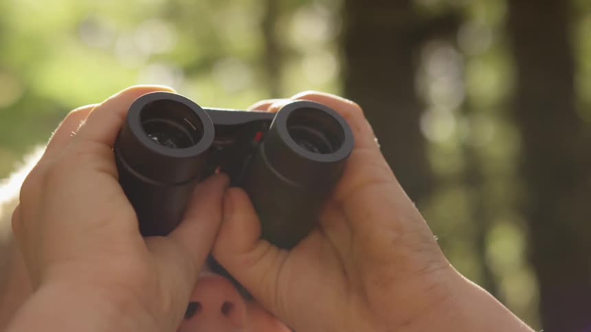 A young white boy holds binoculars with two hands as he looks up into trees in a forest