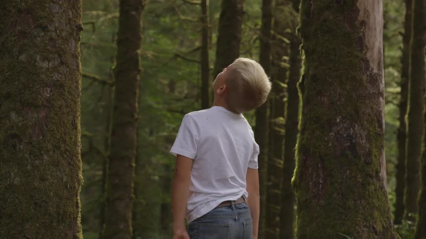 A young boy looks up at trees in a forest