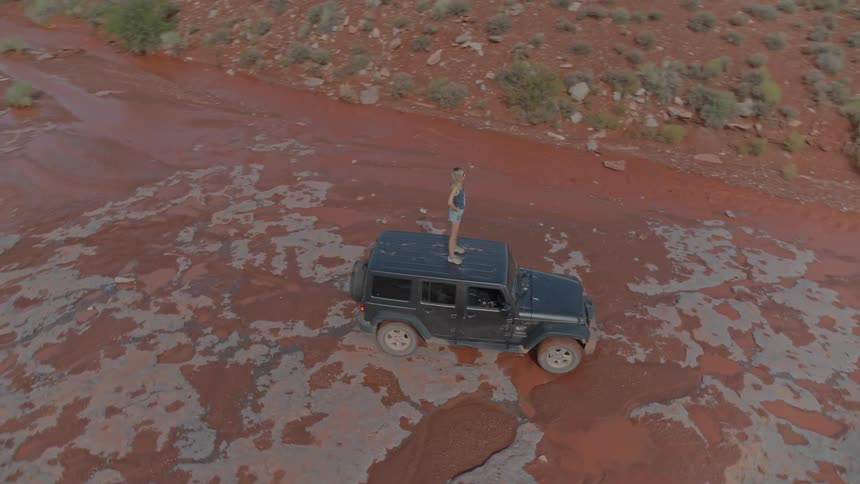 A woman stands on the roof of a parked car in a desert