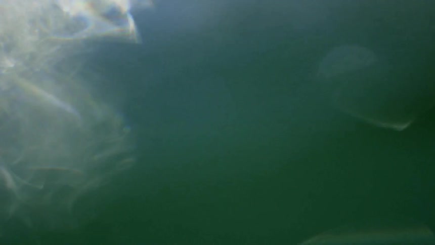 The rough waters splash against the cliff