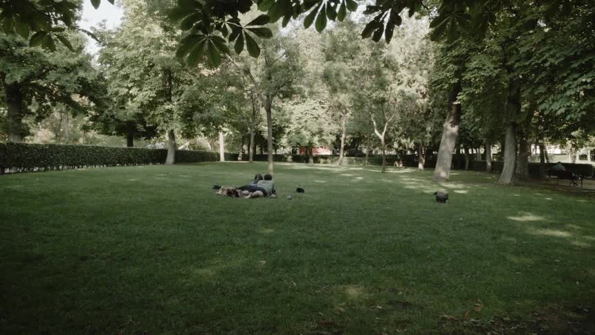 Two people lay on their front on a lawn as a small dog plays