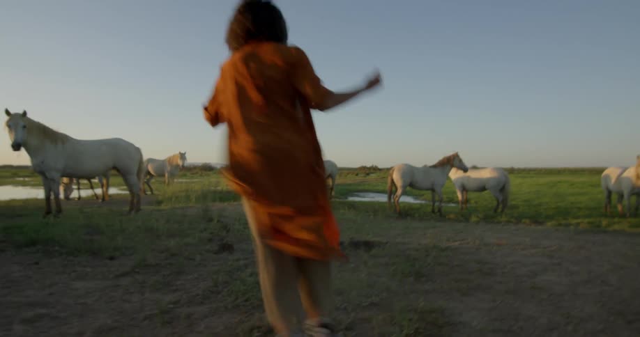 A woman dancing and twirling in a field of horses