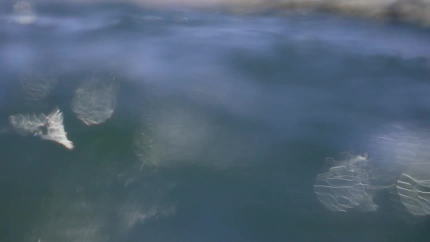 Large waves flow in a river