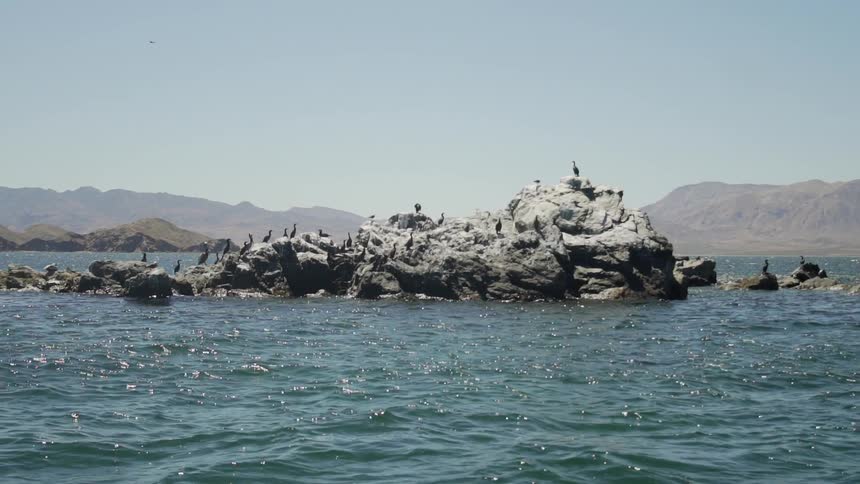 Fishermen In The Gulf Of California