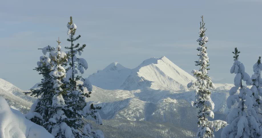 Snow covered trees and mountains