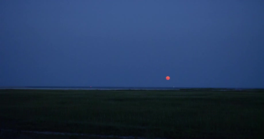 Moonrise Scenics