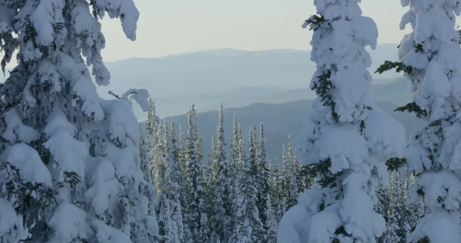Snowy Mountain Scenics