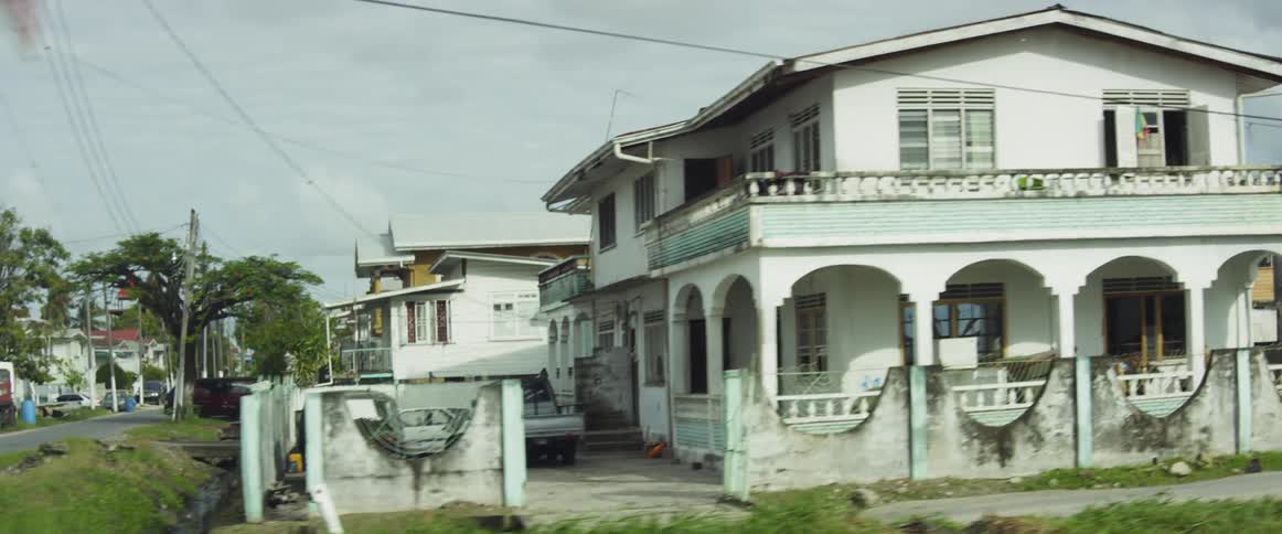 The trees are green by an old town