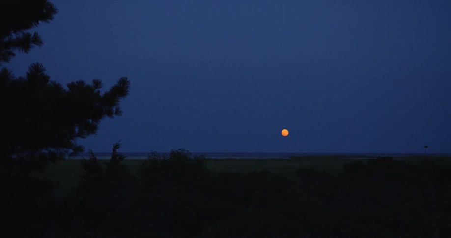 Moonrise Scenics