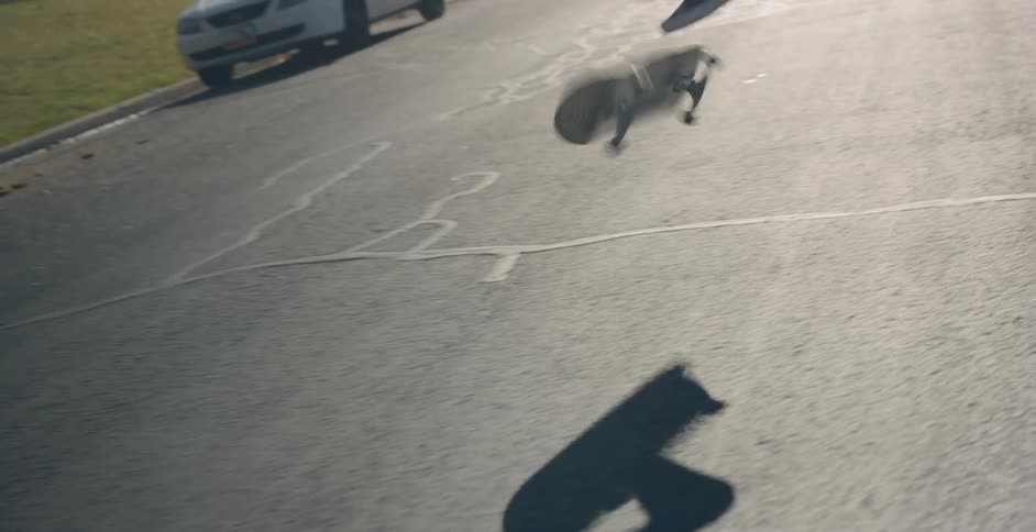 A boy skateboards down a road while also doing some jumps