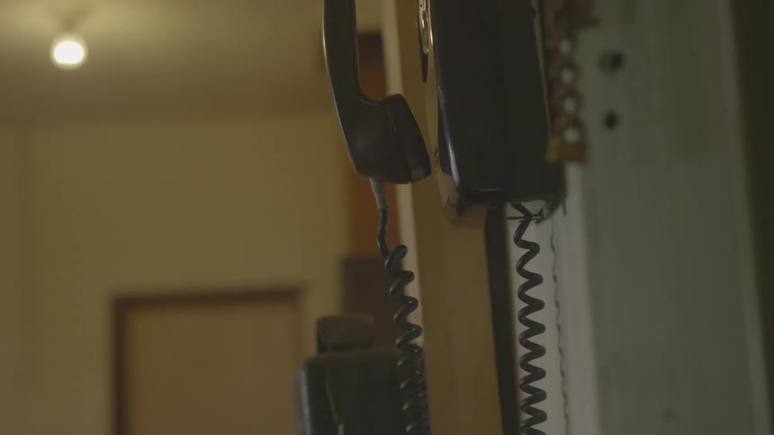 A corded phone hangs on a wall in a house