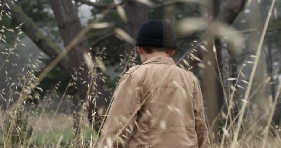 Boy Exploring