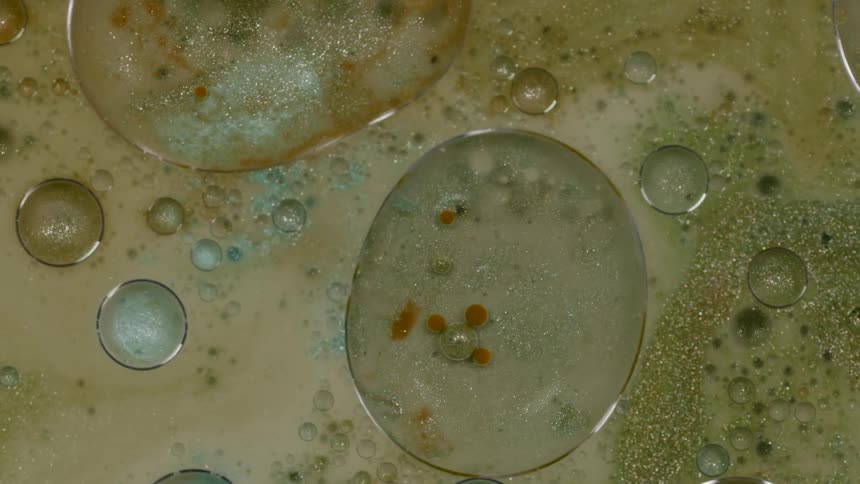 The oil is at the top of the paint