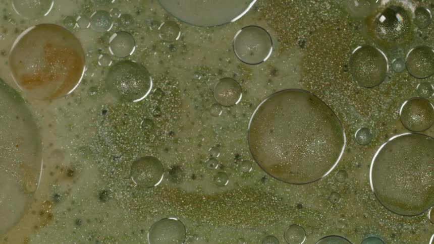 Bubbles float on the surface of liquid
