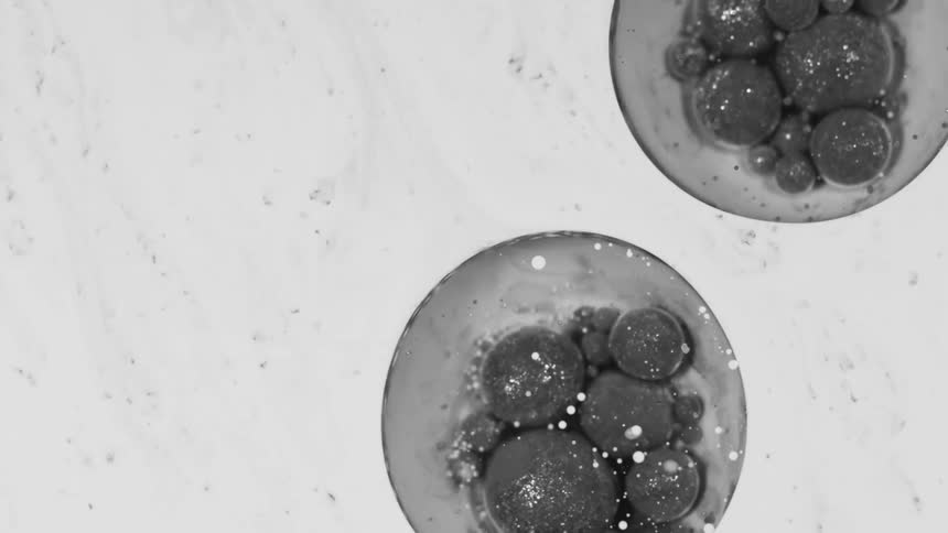 Two bubbles with grey paint float around in the clear liquid