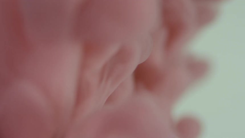 Paint being poured into liquid creating a pink cloud