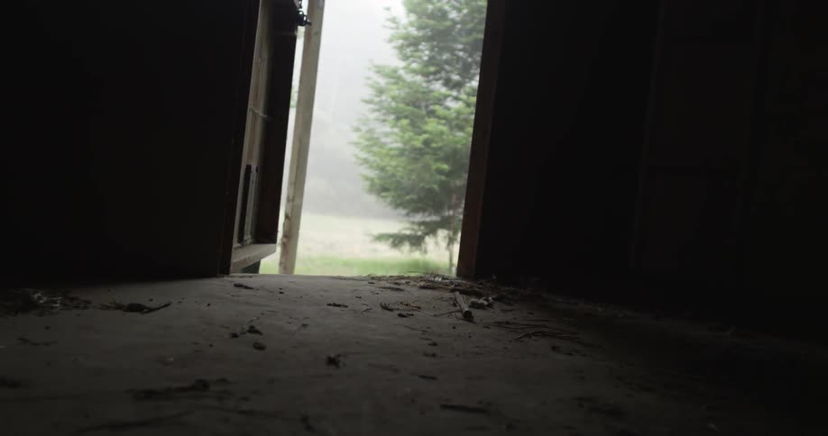 A person exiting a building