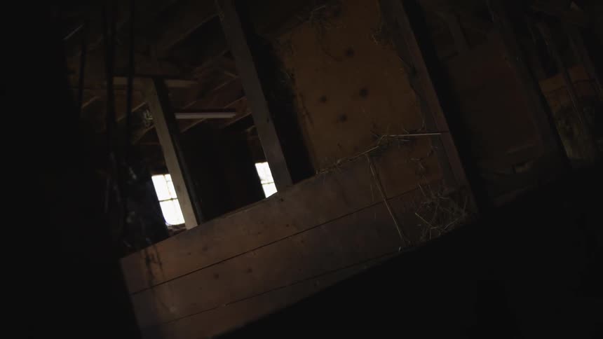 An old dilapidated house with peeling faded wallpaper