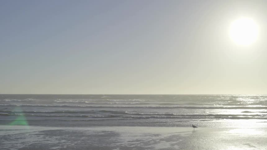Waves roll to shore at sunset