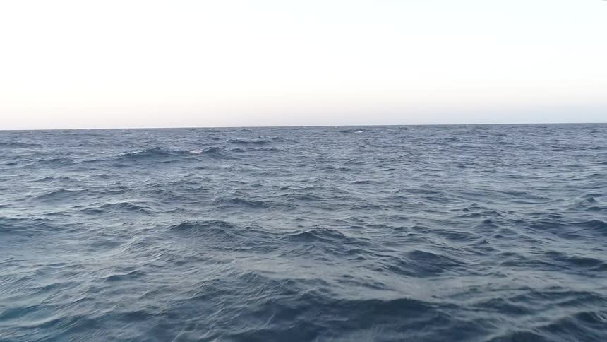 Boats In The Ocean Aerials