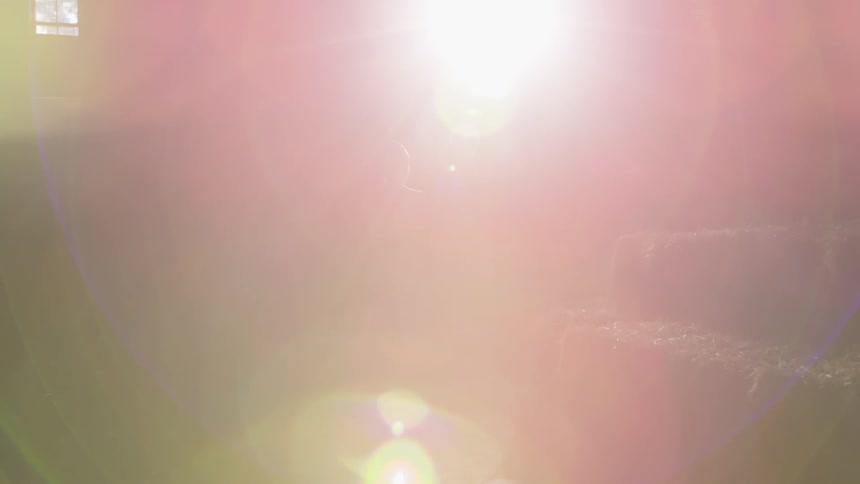 The sun bursting through windows onto a girl inside a house