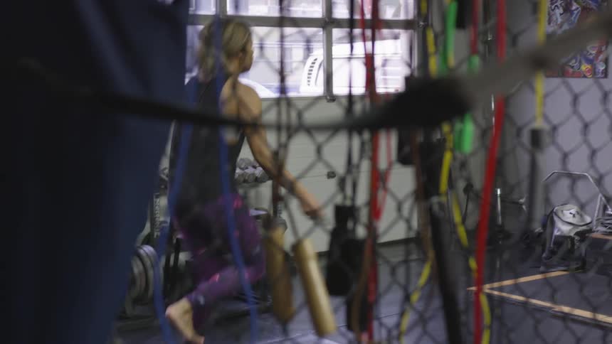 Boxer Training In Gym