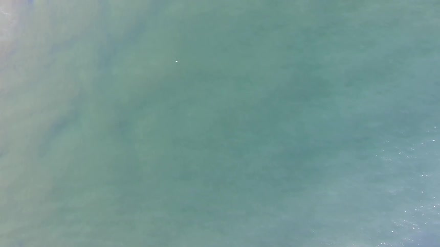 A calm sea on a bright day