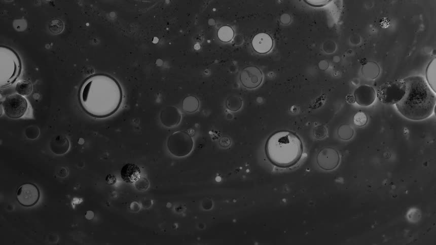 The bubbles float around in the dark water