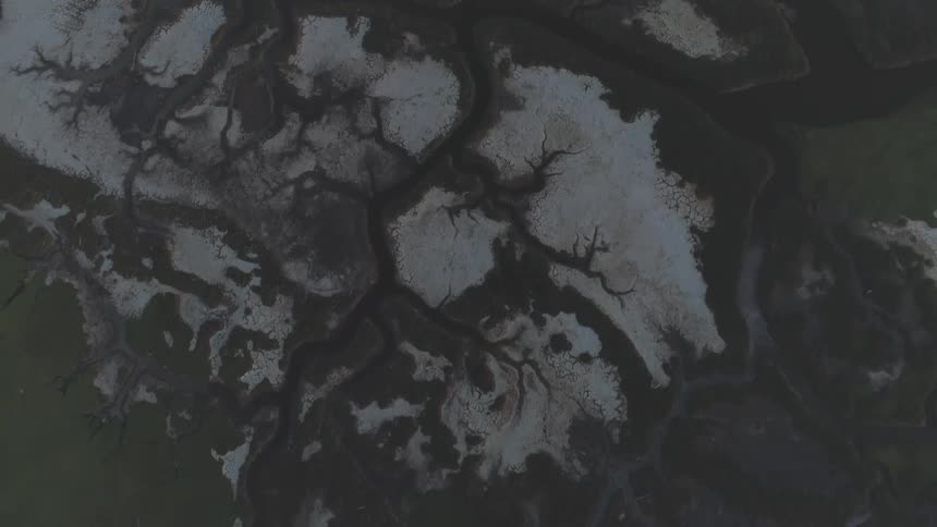 Beach City Aerials