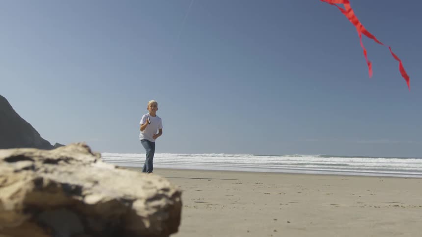 Boy Flying A Kite On The Beach