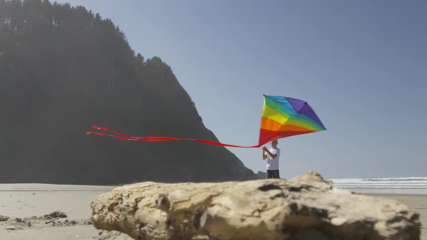 Boy Flying A Kite On The Beach