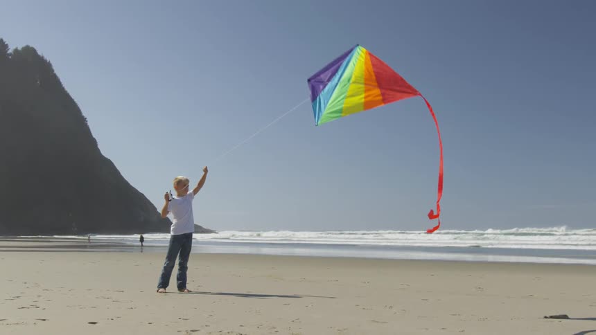 Boy Flying A Kite On The Beach
